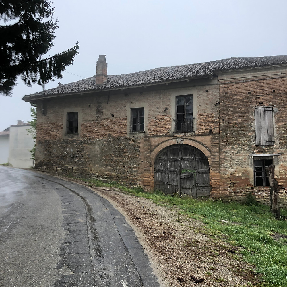 Rainy and foggy day in spring in Piemonte in Alessandria visiting Moscato d'Asti DOCG wine region