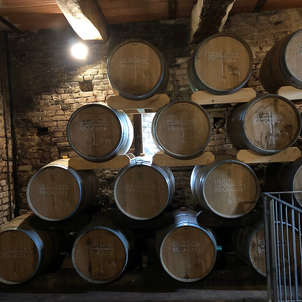 oak barriques in Vietti winery cellar for ageing the Barolo DOCG wine