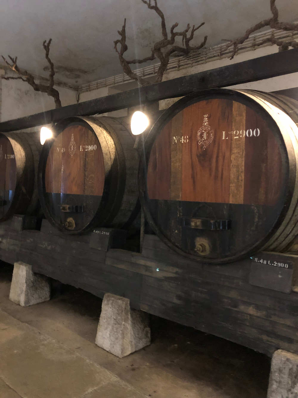 large old oak barrels and casks for Periquita wine ageing at José Maria da Fonseca winery in Setubal wine region