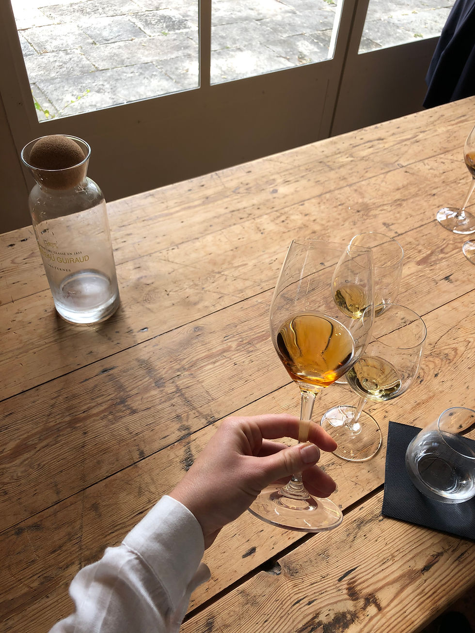 Vertical wine tasting Sauternes wine vintage tasting at Chateau Guiraud organic sweet wine producer