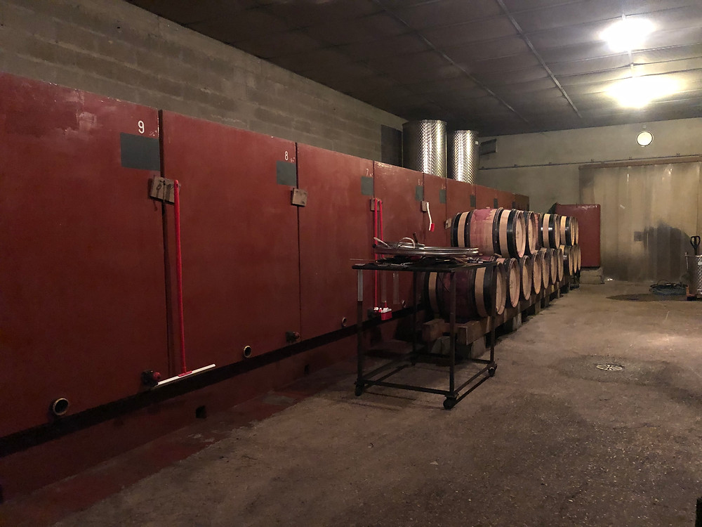 wine cellar in Santenay at winery visit to Domaine Louis Lequin in Santenay during my Burgundy wine study trip
