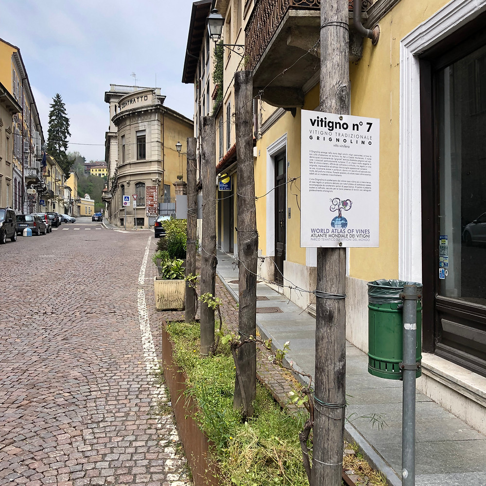 Streets of Canelli the centre of Alta Langa DOCG appellation for the traditional method sparkling wines of Piemonte