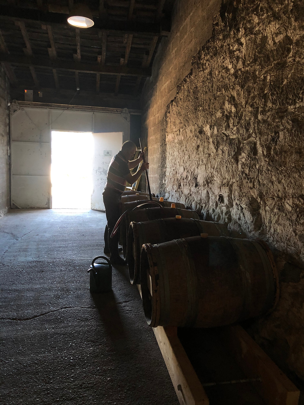 Dynamization in biodynamics in Chateau Le Puy a biodynamic Bordeaux producer from Cotes de Francs