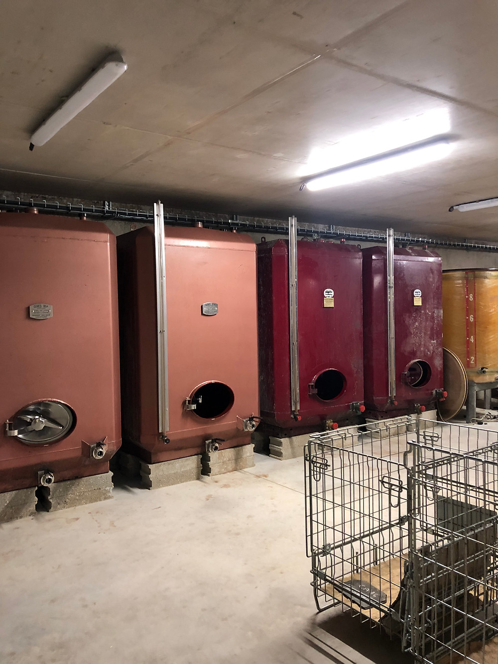 Cement tanks in an underground cellar in Vosne-Romanee at Domaine Rene Cacheaux