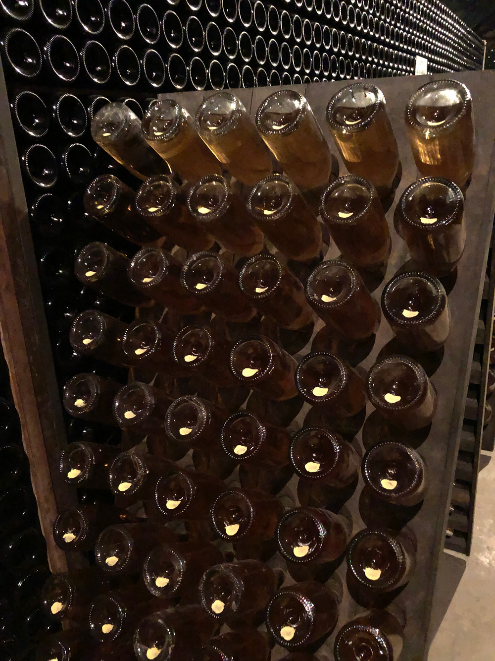 Traditional method sparkling wines in bottles on wine reck called pupitre, during manual riddling in Contratto winery during a winery visit and tasting at Alta Langa DOCG