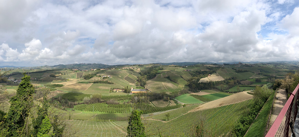 vineyard view from Castiglione Falleto to La Morra from Vietti winery producing Barolo DOCG