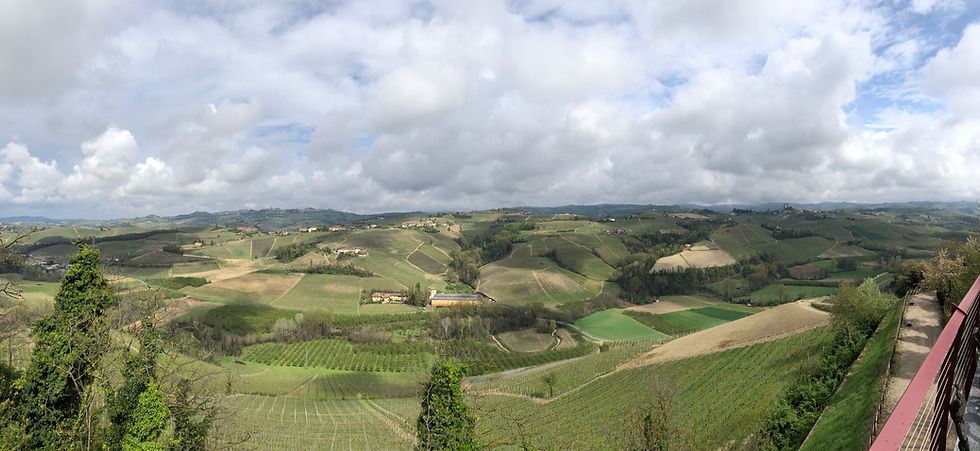 vineyard view from Castiglione Falleto to La Morra from Vietti winery producing Barolo DOCG