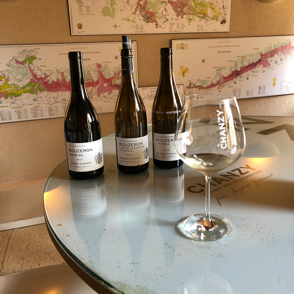 Aligote wine tasting at Domaine Chanzy in Bouzeron during my Burgundy wine trip