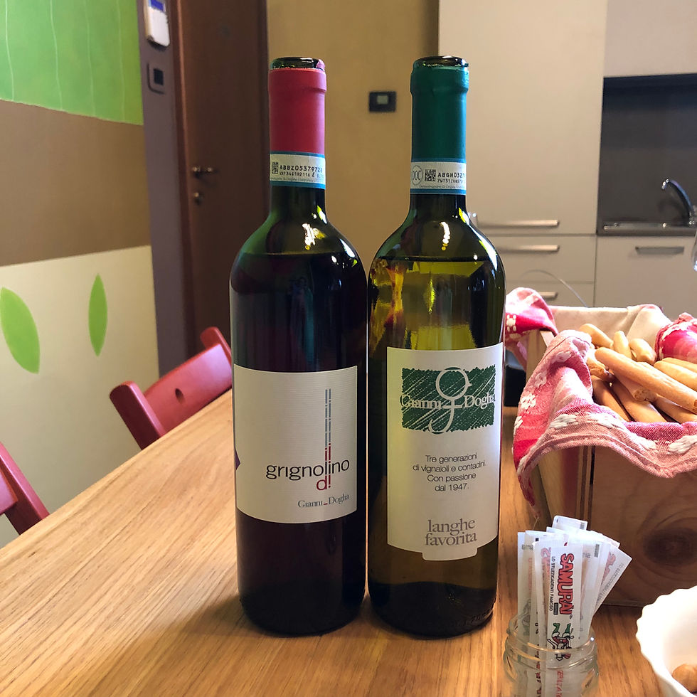 Grignolino and Langhe Favorita wine tasting at Gianni Doglia during a winery visit and wine tour in Piemonte