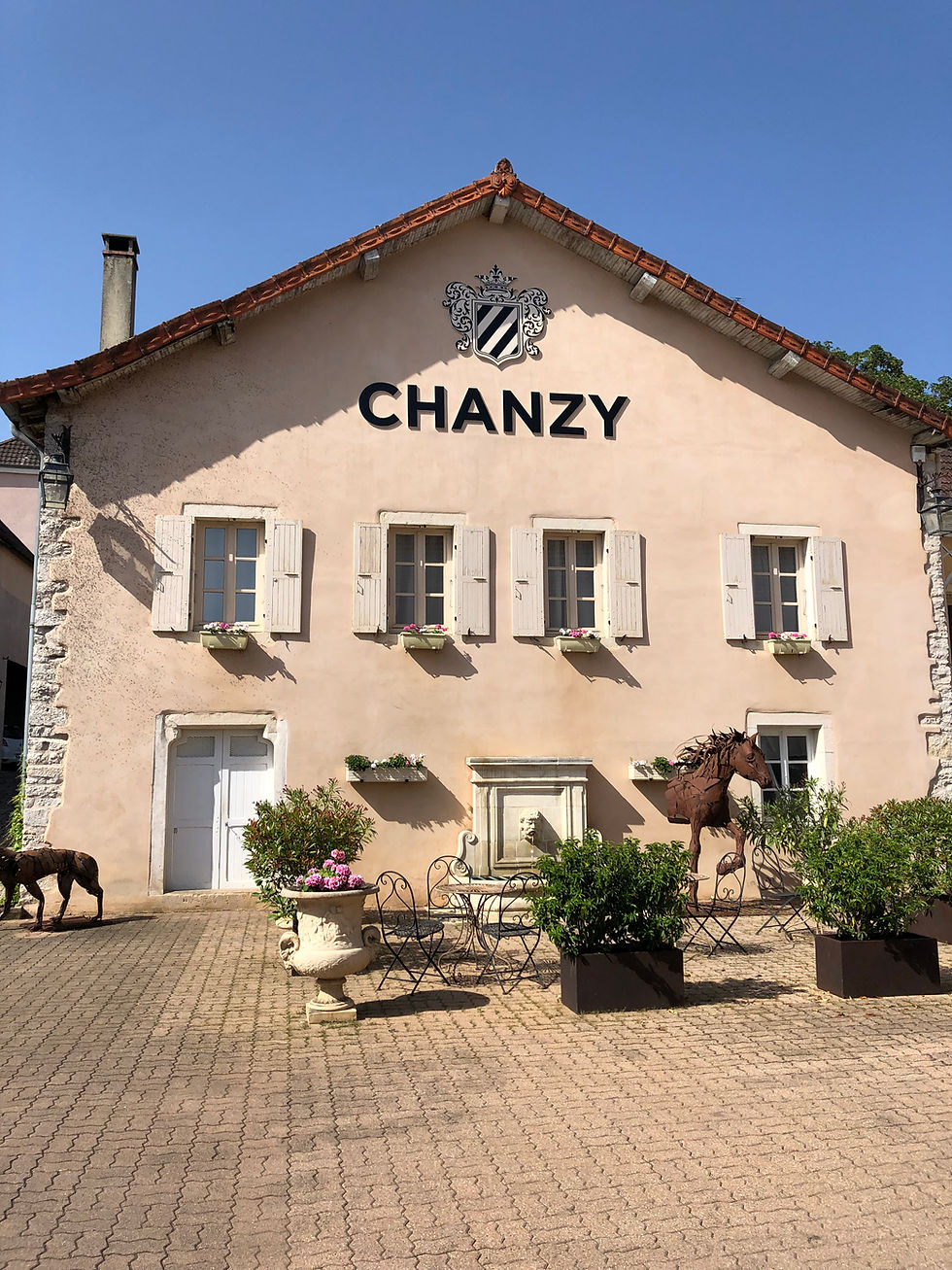 Domaine Chanzy in Bouzeron village in Southern Burgundy producing Aligote wine