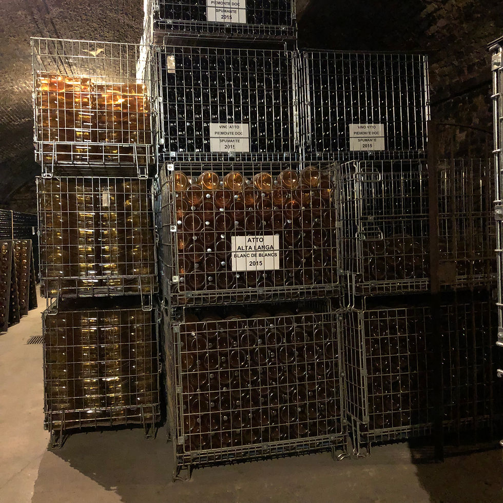 Atto Alta Langa wines in the cellar of Contratto winery in Canelli town in Piemonte
