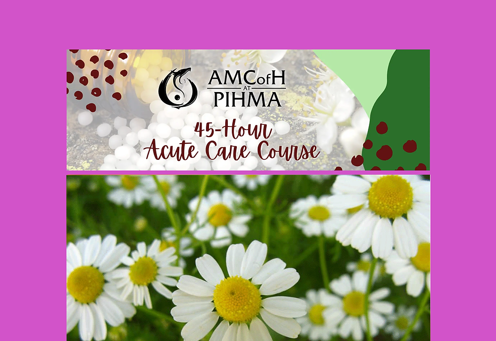 acute care cover.png