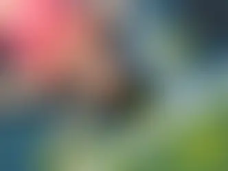 The Inner Game: How Mental Training Can Help You Win More—and Enjoy It More