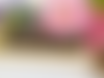 Natural Advantage: How Homeopathy Supports Pickleball Wellness