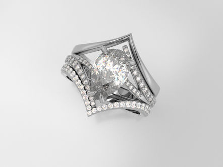 Custom vs Customizable