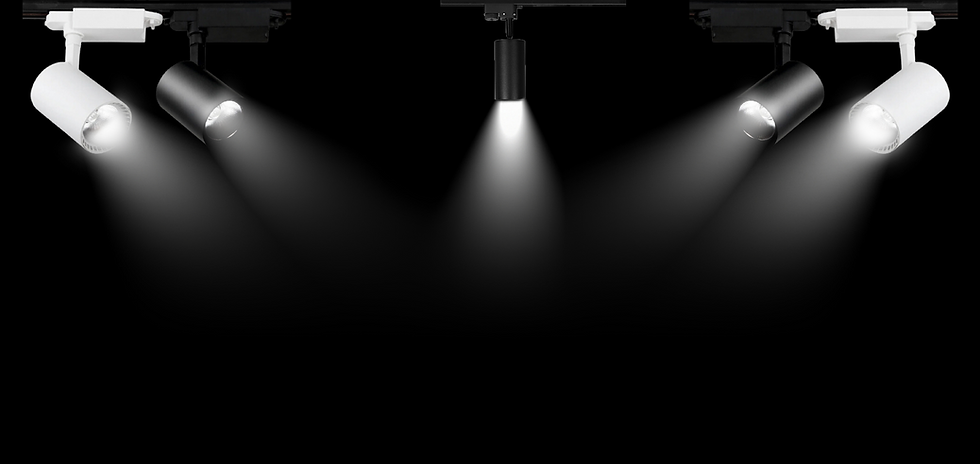 c6573a_dc2afe0fade3467f8c34a9c705693415~mv2 (2).png