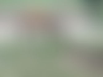 June 14 Livestream