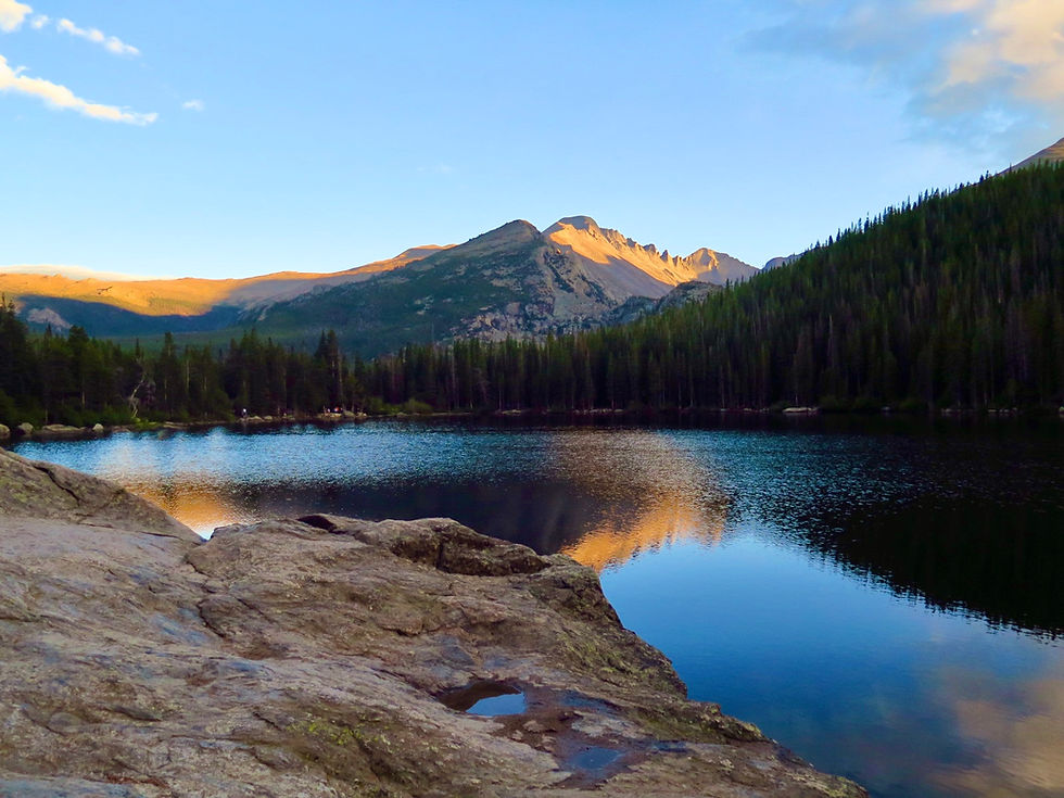 October 26 Livestream