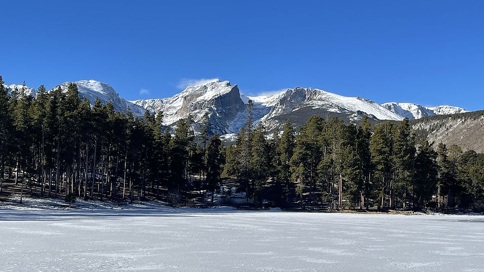 February 1st Livestream