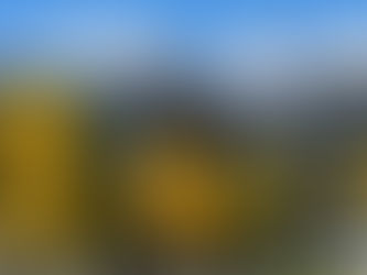 October 12 Livestream