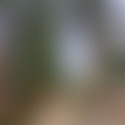 September 14 Livestream