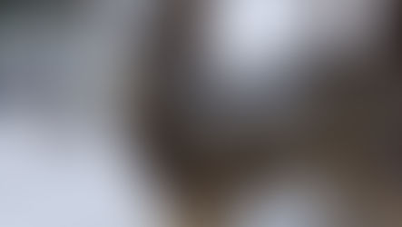 January 4 Livestream