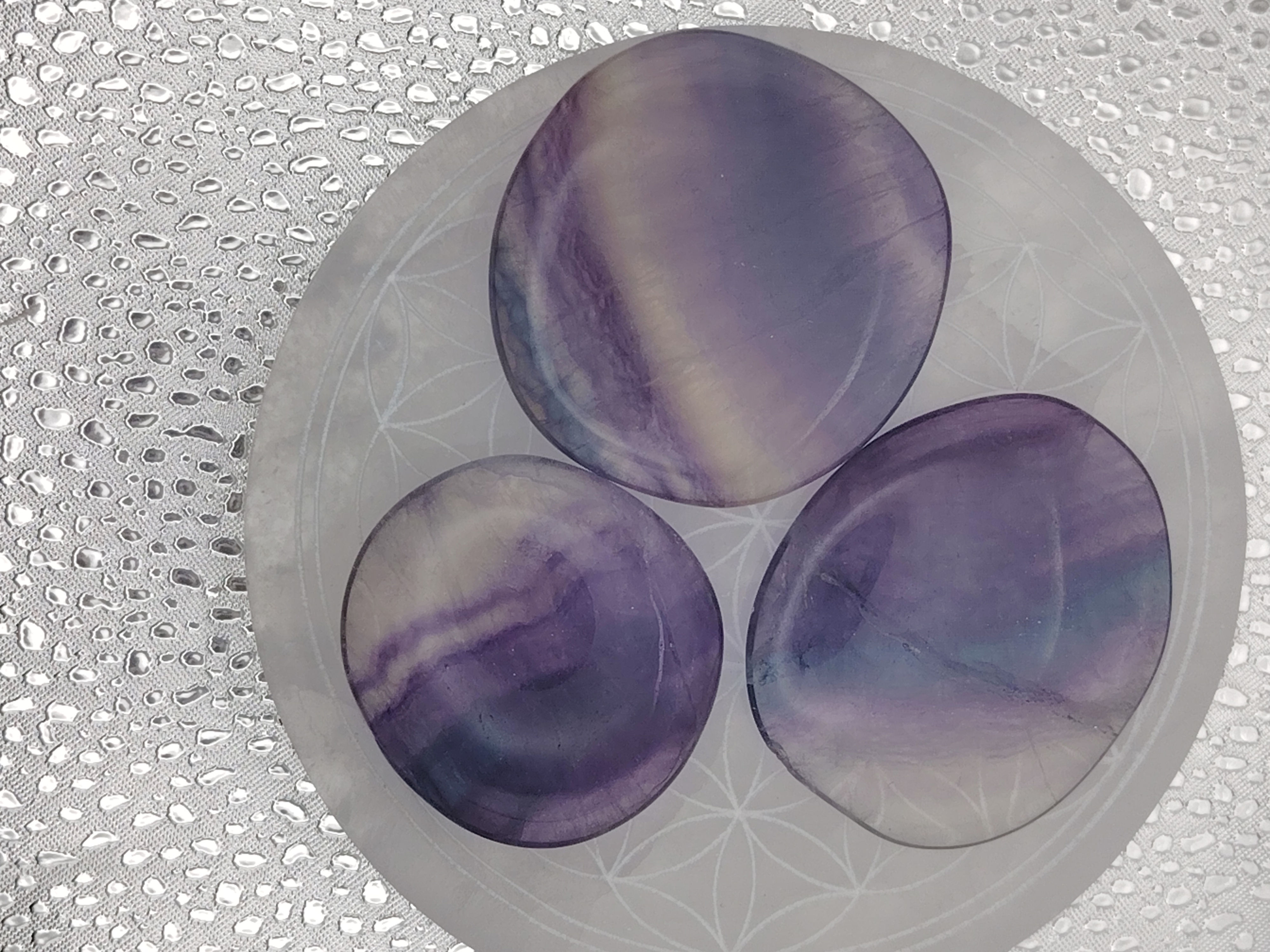 Galet plat Fluorite ( prix à l'unité )