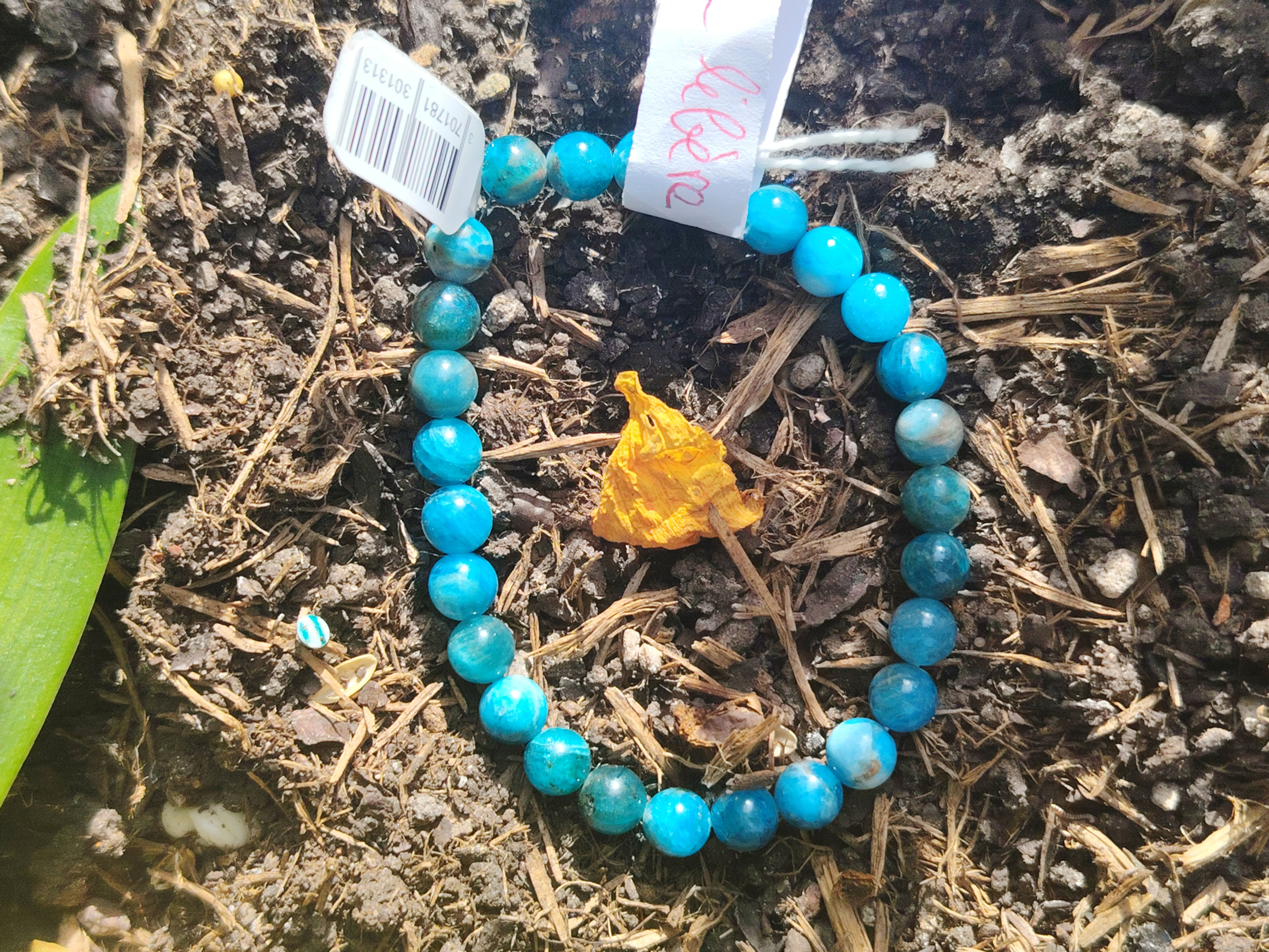 Bracelet Apatite 6mm