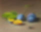 caryjurriaans_9710.jpeg