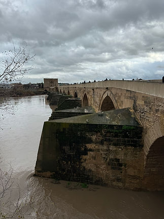 IMG_3099.jpeg