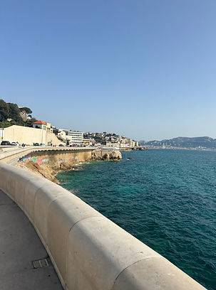 IMG_4467.jpeg