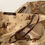 Thumbnail: Vintage Roberto Cavalli Set