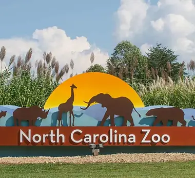 north-carolina-zoo-council-meeting-may-10-2023-1.jpg.webp