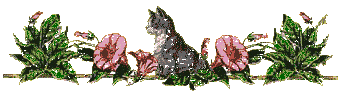 7054.gif