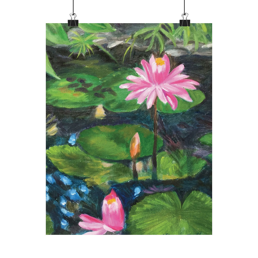 Kanapaha Lotuses