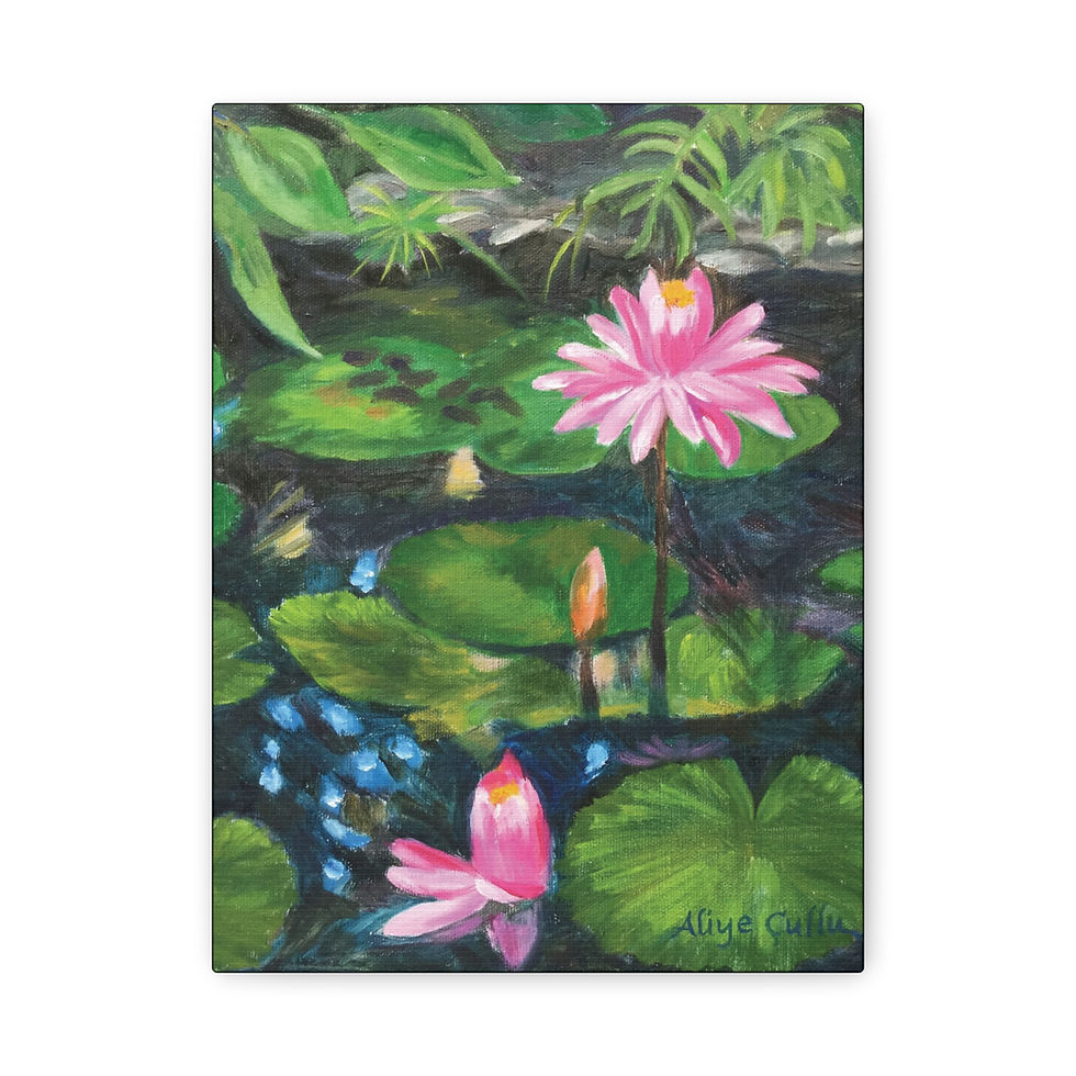 Kanapaha Lotuses