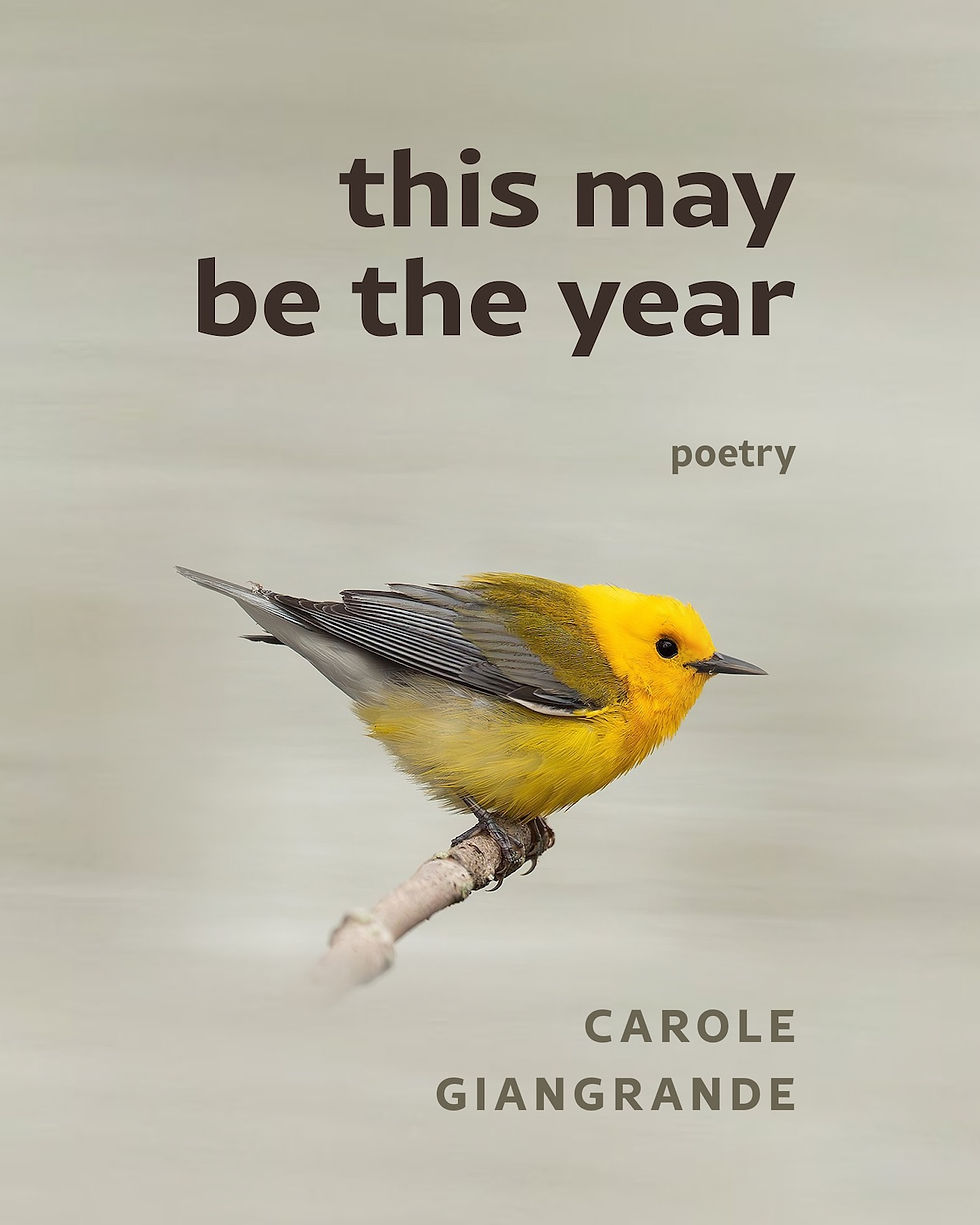 A Review of "This May Be the Year" by Carole Giangrande