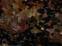 Detail of Frank Meyer glass reveal