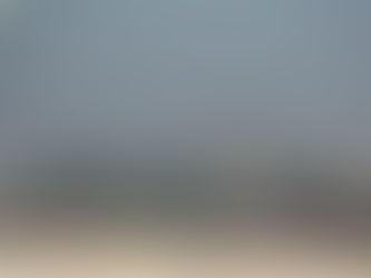 GRAND PALAIS E PETIT PALAIS