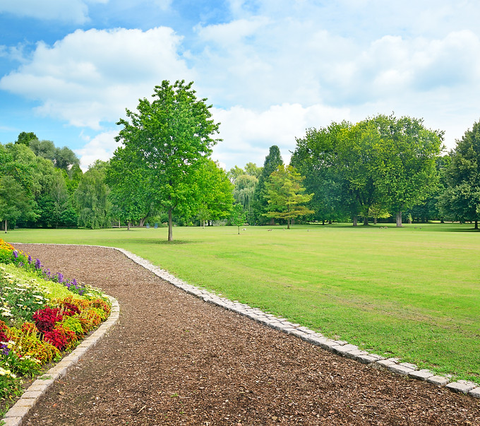 Multicolored flowerbed on a glade.jpg