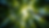 High angle view of a vibrant forest canopy