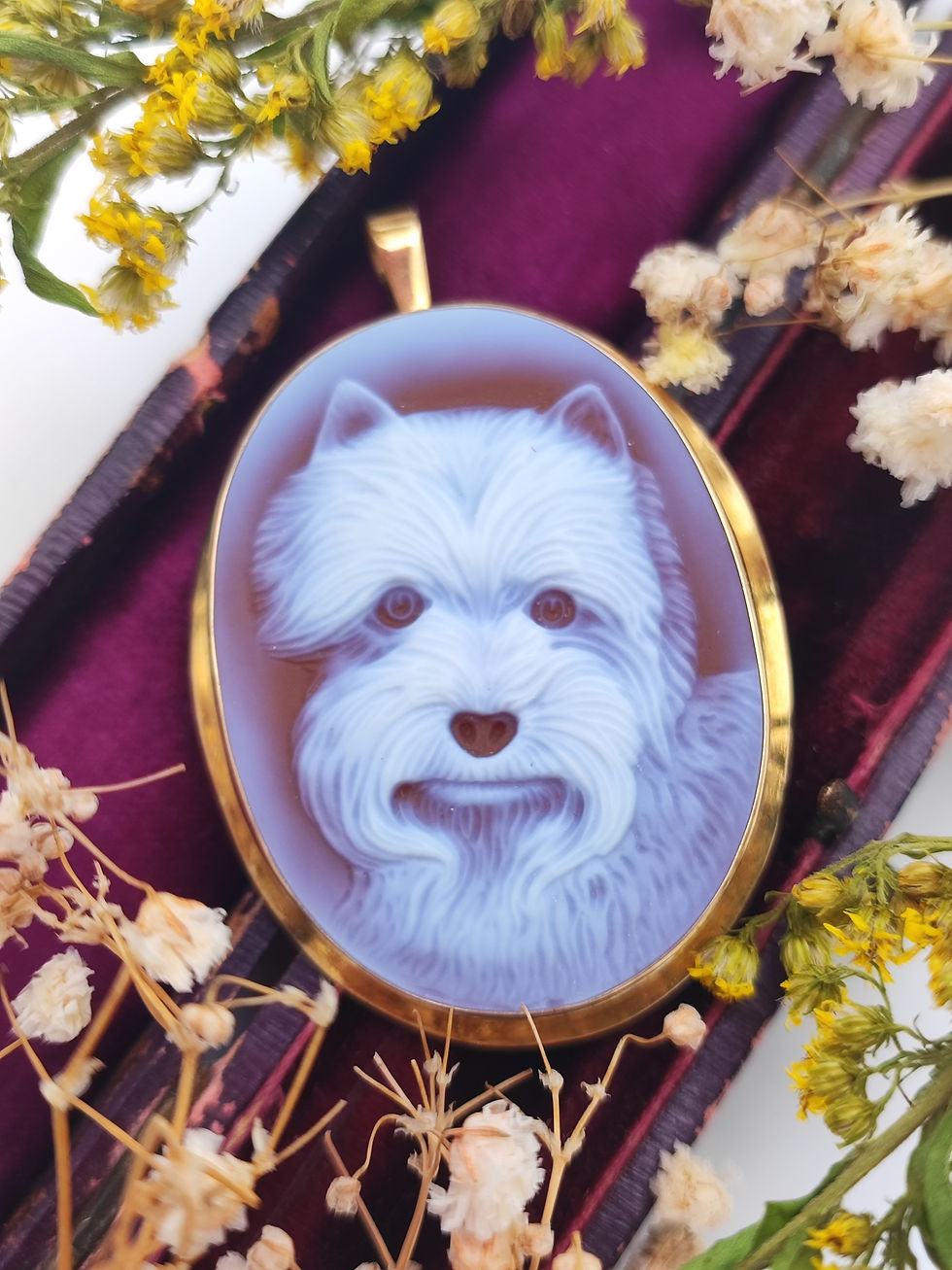Italian 9ct cameo terrier dog pendant / brooch