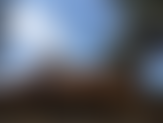 June 2020 Newsletter - How I got from there to here - Part 5