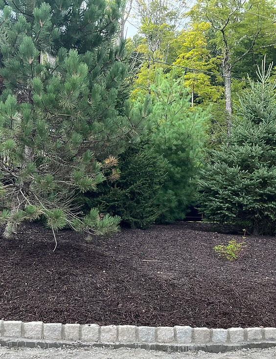 Greenspan_&_Sons_Landscape_Work_24 (1).jpeg