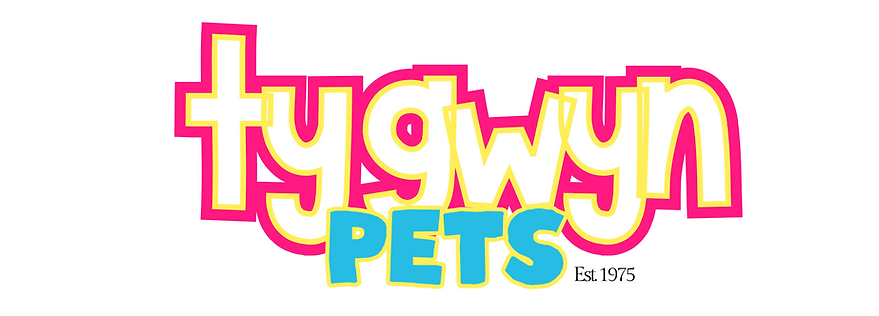 Add a little bit of body text (2).png