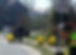 Community Clean Up Day 2