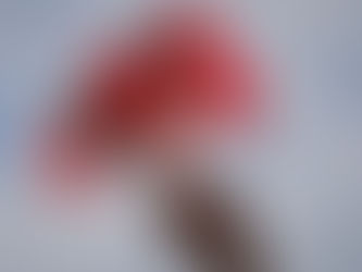 Canada Day - A Respectful Honouring of Our Nation.