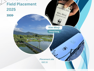 My Internship Experience at WWF, Hong Kong