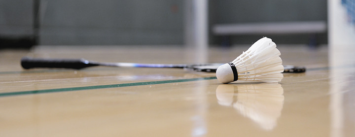 Shuttlecock und Badmington Racket