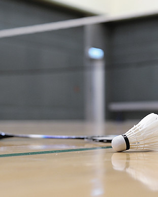 Shuttlecock and Badminton Racket
